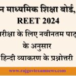 Hindi Grammar for REET